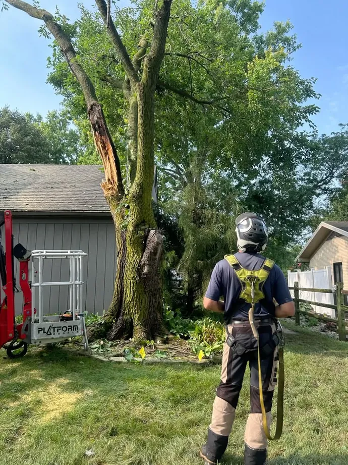 Crew member planning a removal beside a lift